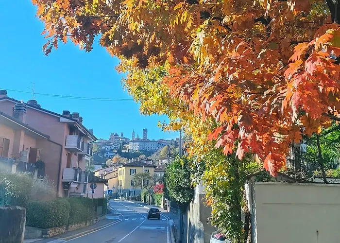 Nelly Bergamo